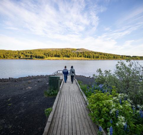 Hvaleyrarvatn